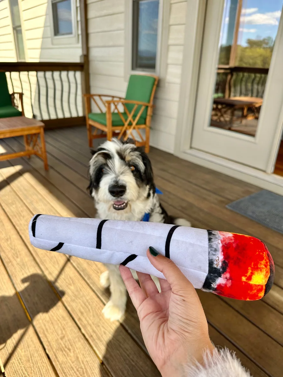 J*int Plush Squeaky Toy
