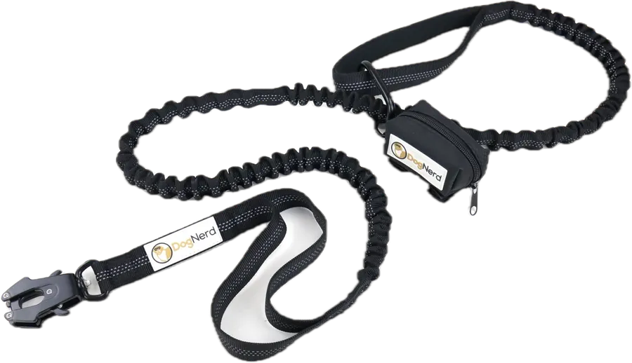 Bungee Leash with Poop Bag Holder and Carabiner
