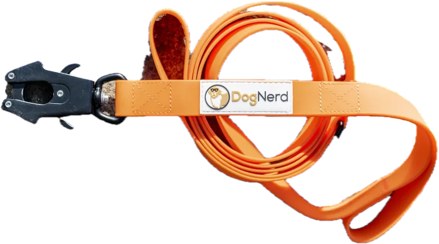 simpLEash Dual Handle 6 Foot Silicone Leash