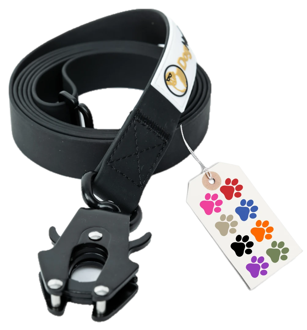 simpLEash 6-Foot Silicone Leash
