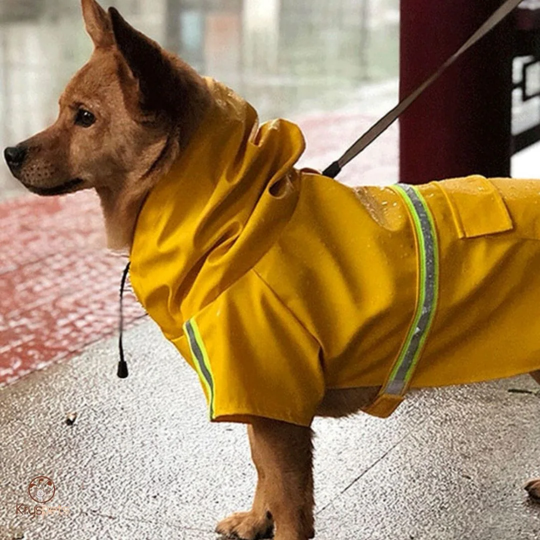 KrysPLUIE Dog Raincoat