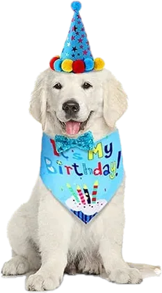 Birthday Boy or Birthday Girl Party Bundle