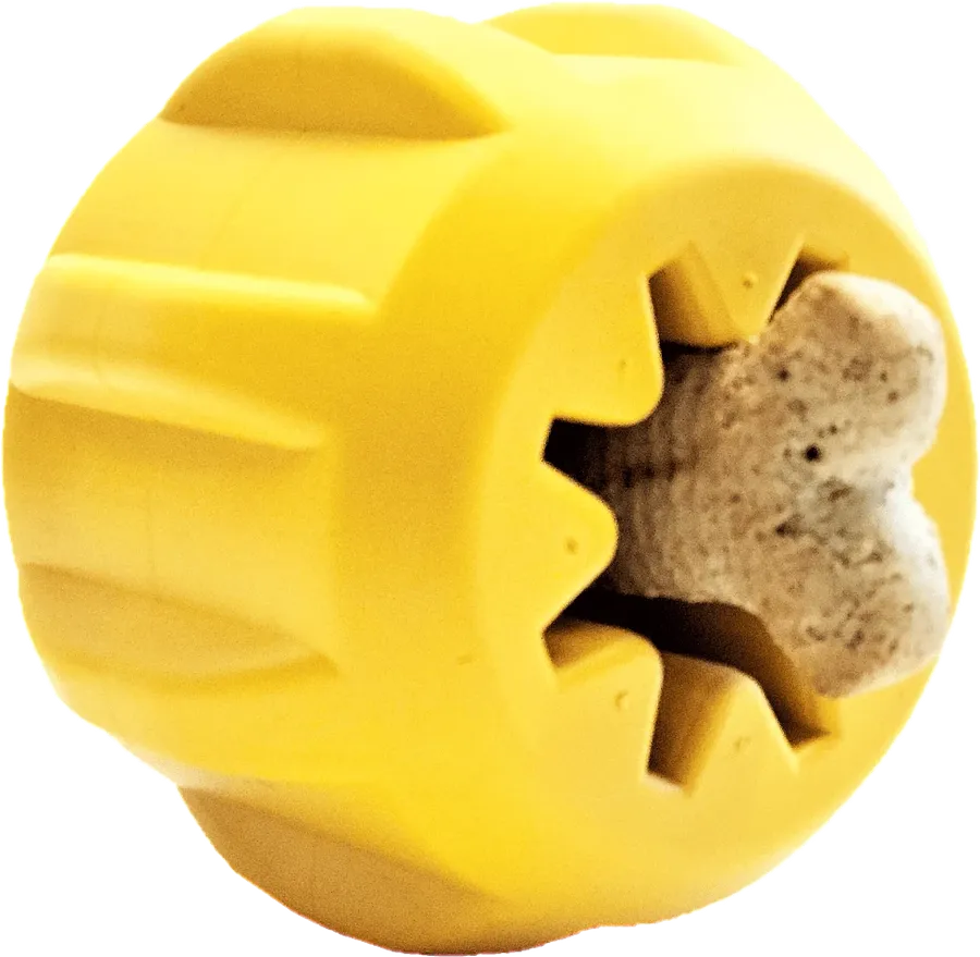 Gear eDispenser Chew Holder