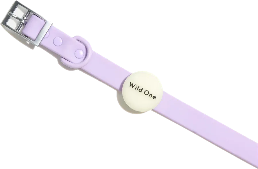 AirTag Holder (2-Pack)