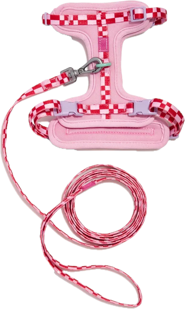 Cat Harness & Leash