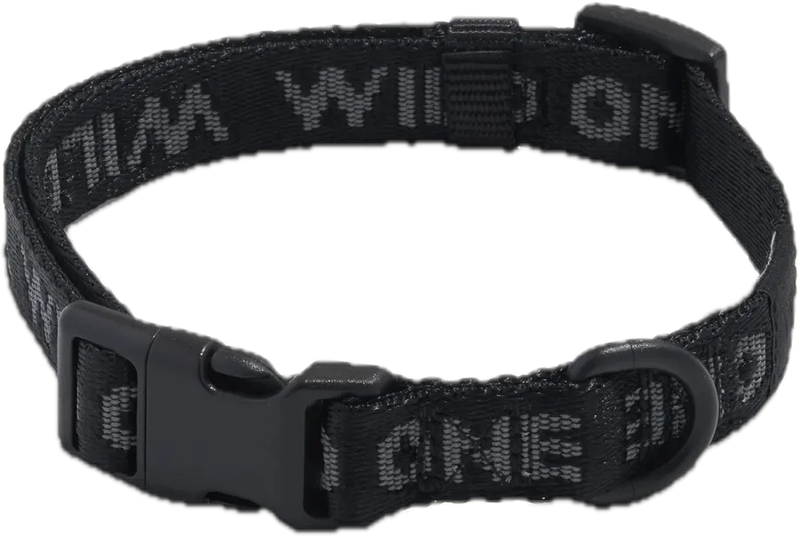 Quick-Release Dog Collar